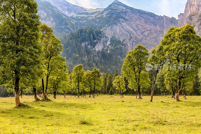 奥地利蒂罗尔，Engalm, Eng, Risstal, Karwendel massif下方的“groserahornboden”自然保护区和保护区